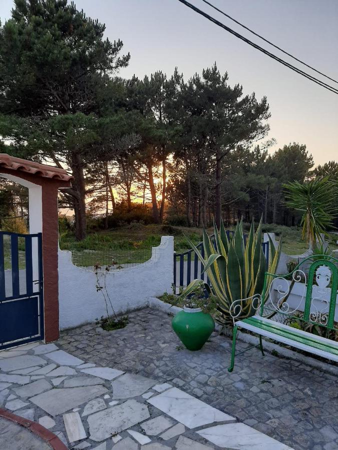 Lemos Family Beach House نازاريه المظهر الخارجي الصورة